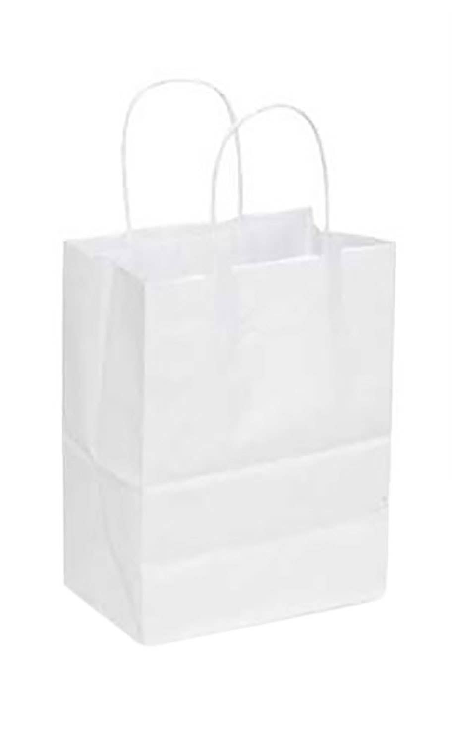 Kraft Paper Shopping Bags: Natural / Case of 100 / Large