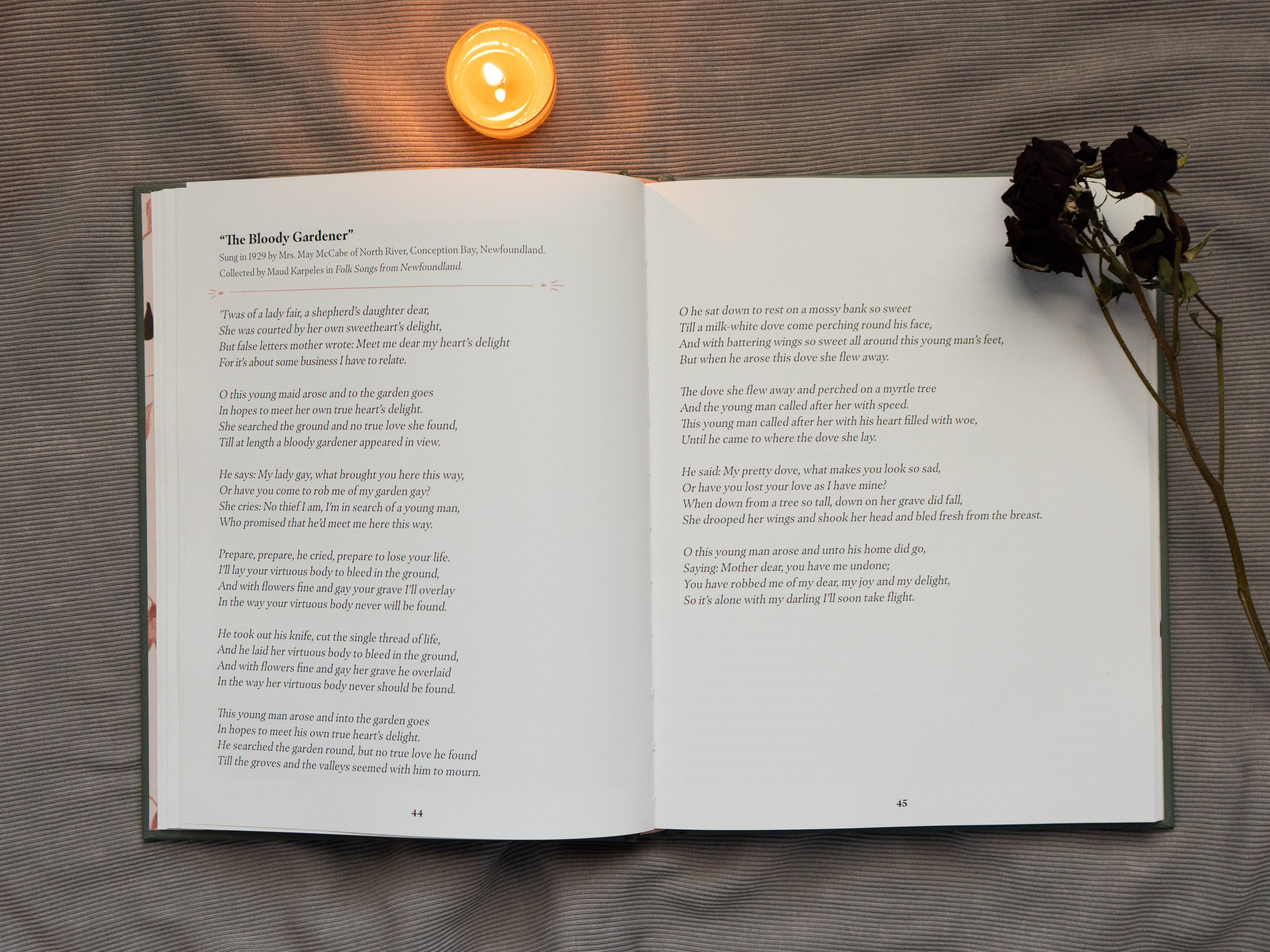 Murder Ballads by Katy  Horan: Hardcover; 144 pages / English