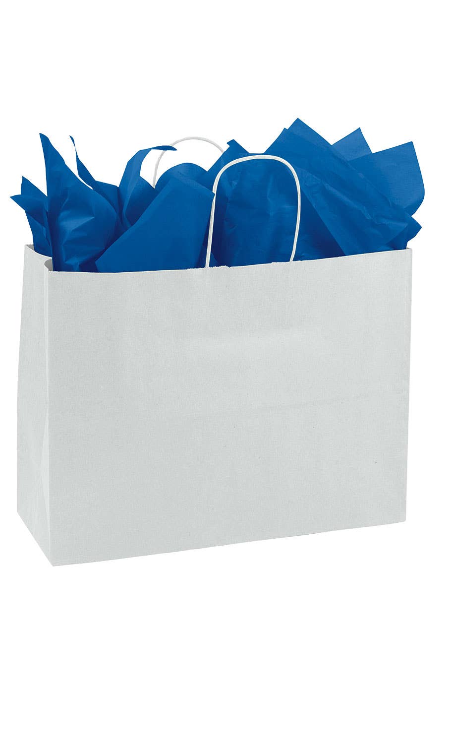 Kraft Paper Shopping Bags: Natural / Case of 250 / Medium