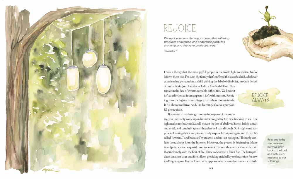 GraceLaced: Hardcover / English