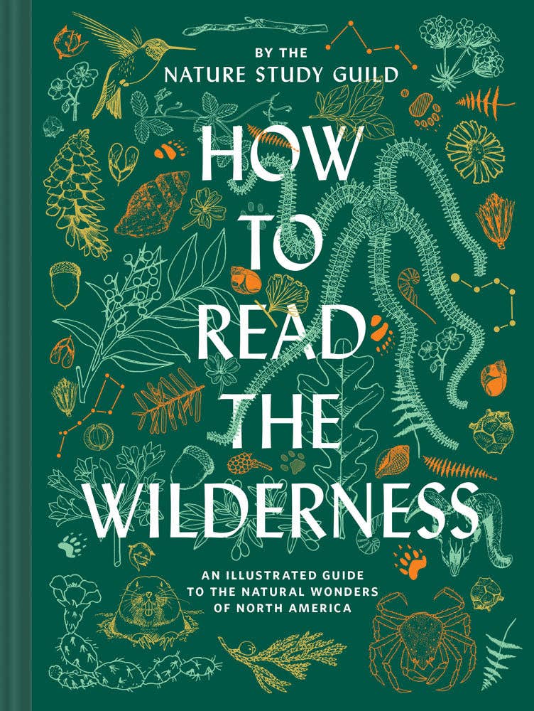 How to Read the Wilderness