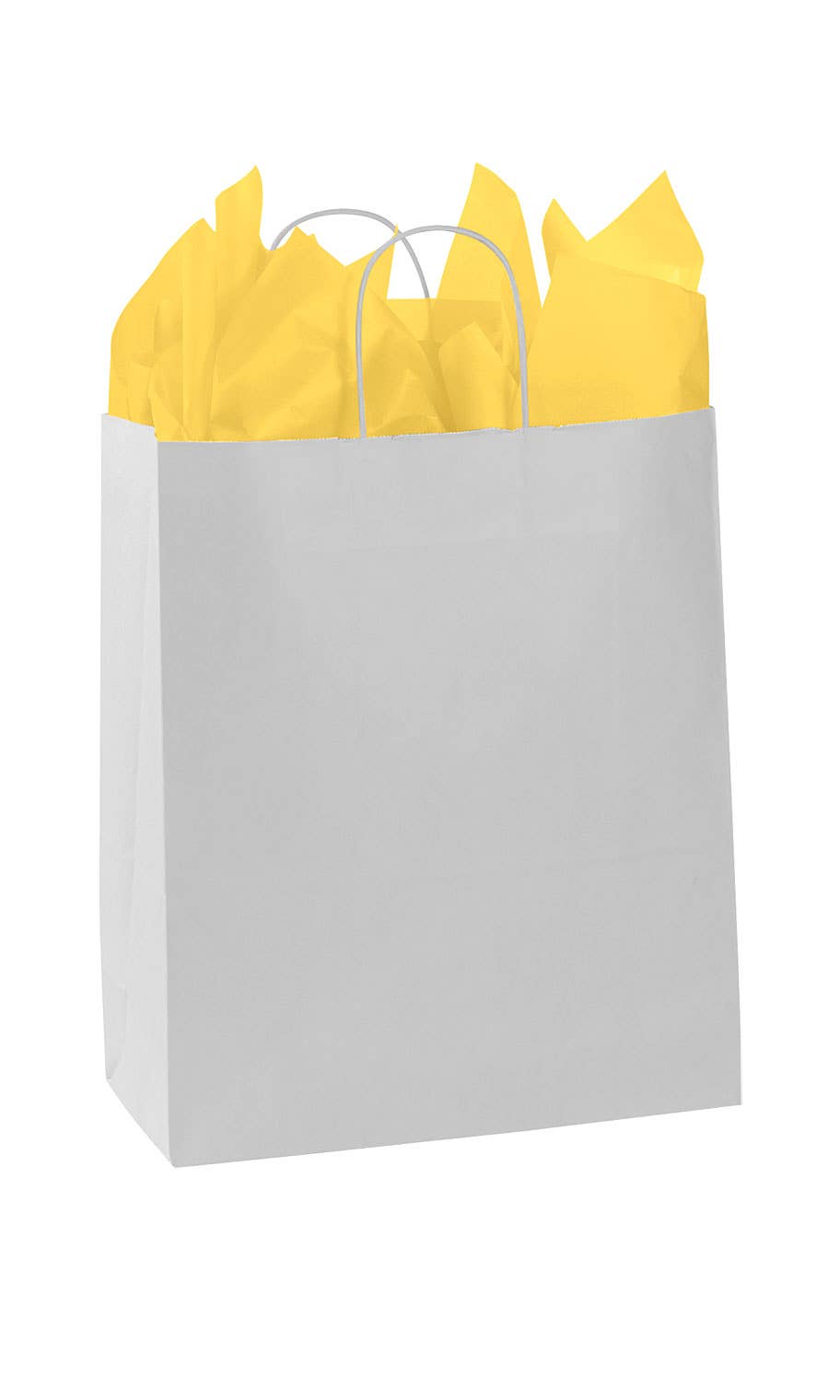 Kraft Paper Shopping Bags: Natural / Case of 250 / Medium