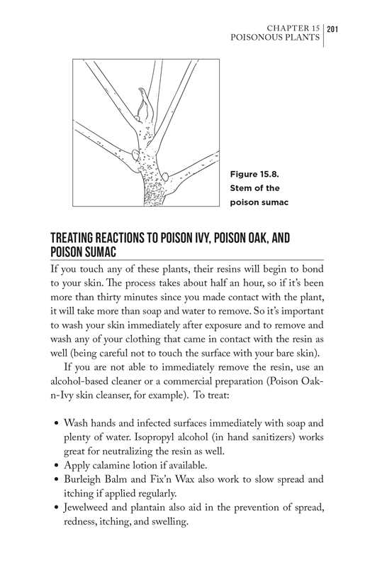 Bushcraft First Aid by Dave Canterbury: Paperback; 256 pages / English