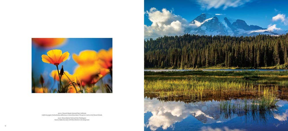 National Parks: An American Legacy