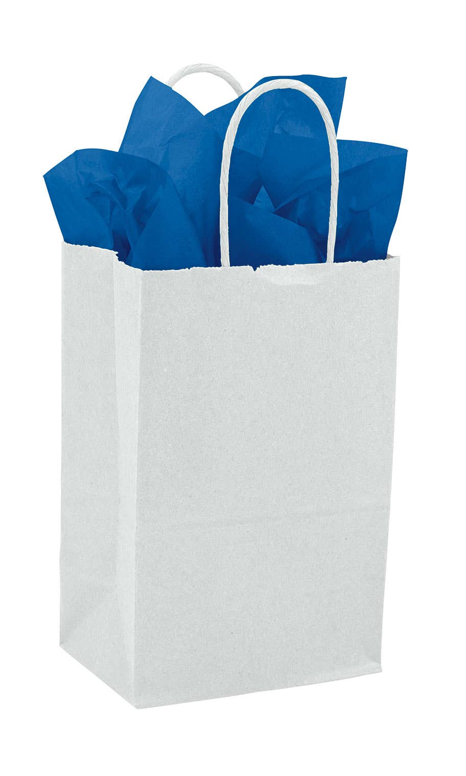 Kraft Paper Shopping Bags: Natural / Case of 100 / Large