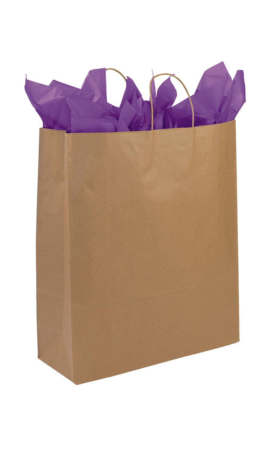 Kraft Paper Shopping Bags: Natural / Case of 250 / Medium