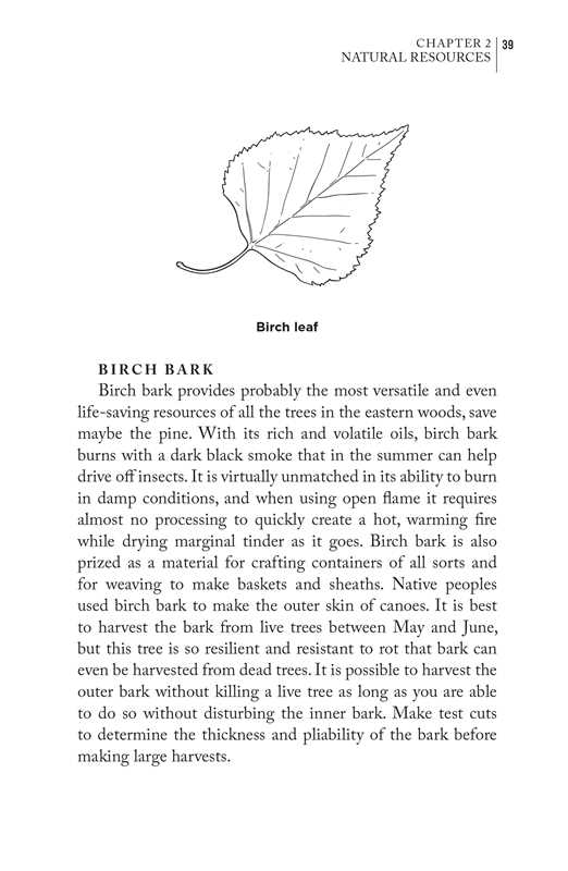 Advanced Bushcraft by Dave Canterbury: Paperback; 256 pages / English