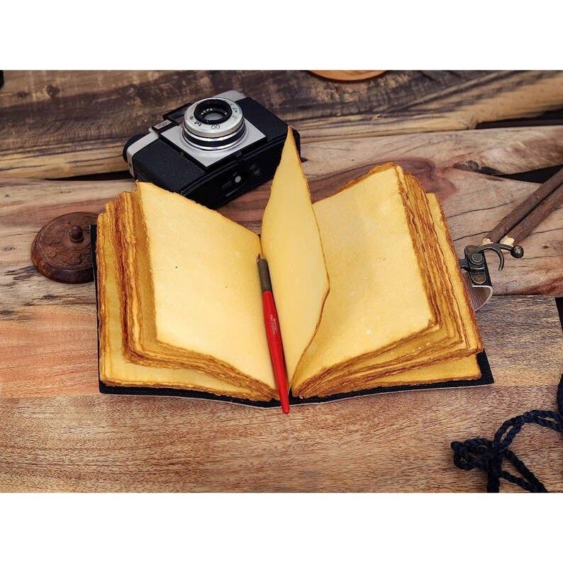 Luna moth mushroom journal