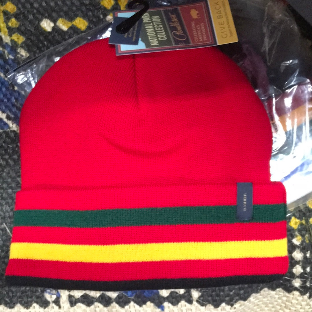 NATIONAL PARK STRIPE BEANIE
