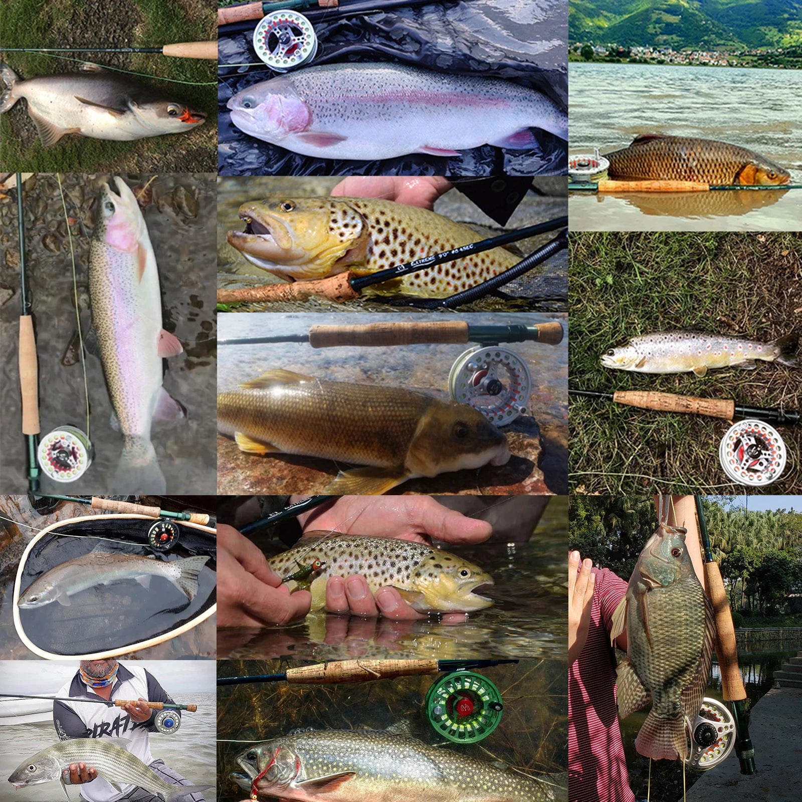 MaximumCatch Fly Fishing Rod And Reel Combo