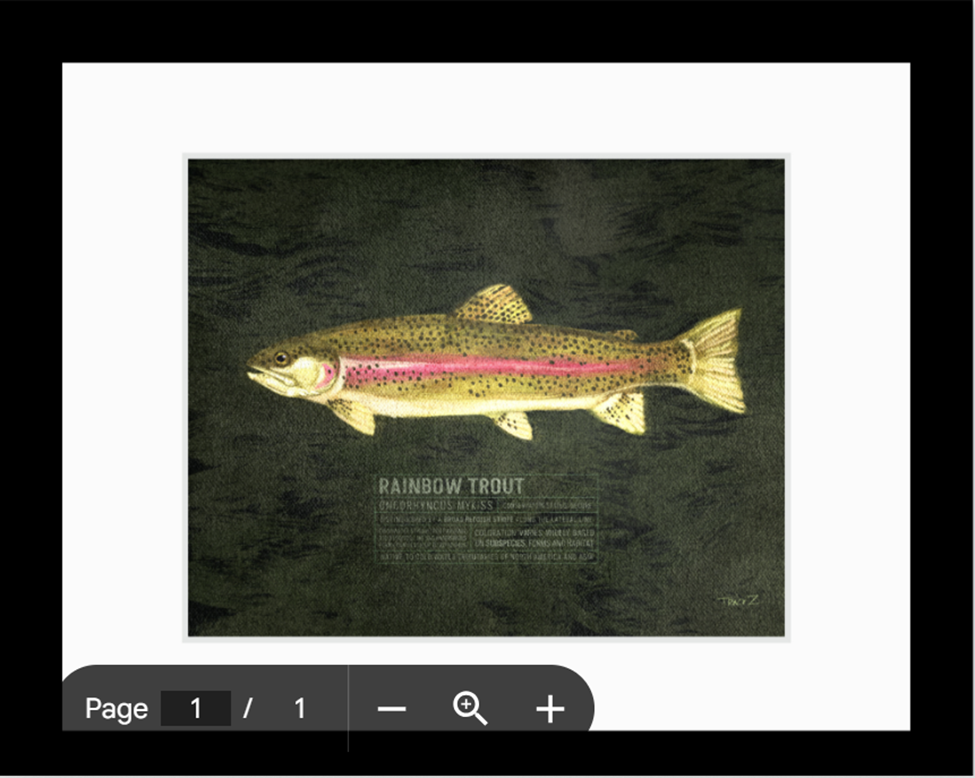 Rainbow Trout Print - Local Artist Tracy Zakraysek