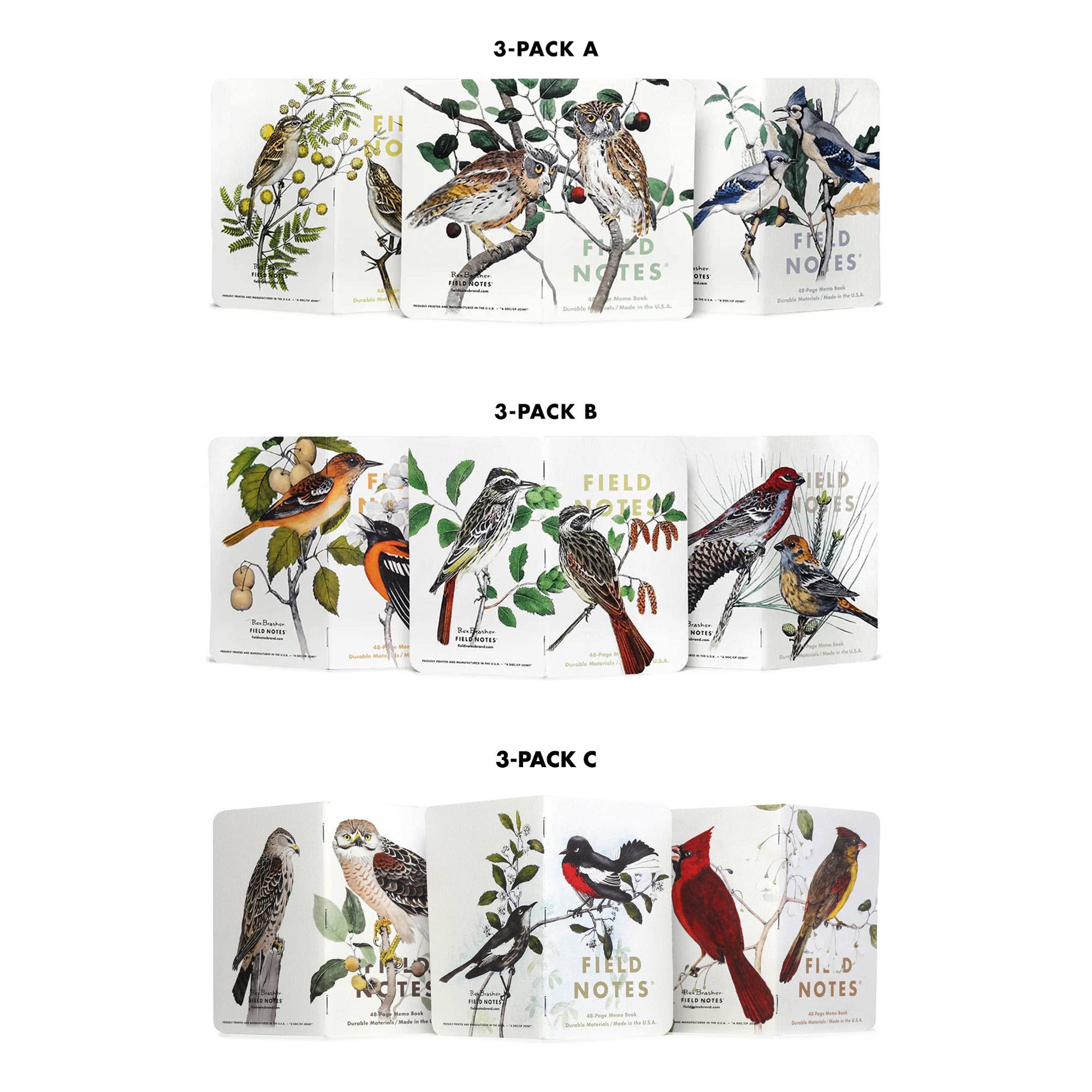 Birds and Trees of North America: Pack A: Screech Owl - Blue Jay - Brewer Sparrow