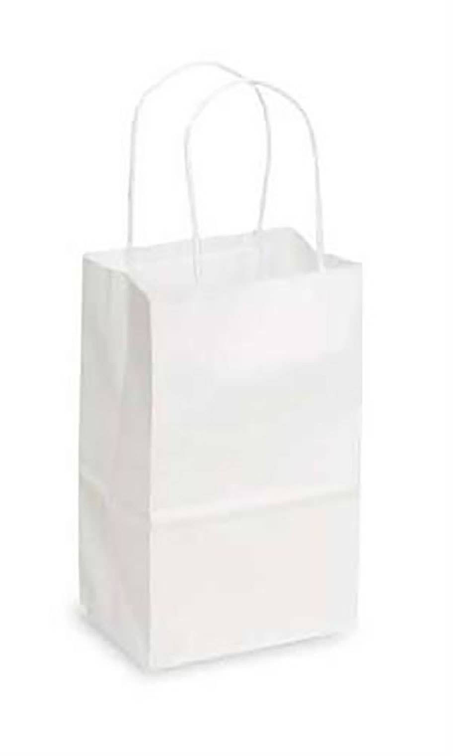Kraft Paper Shopping Bags: Natural / Case of 250 / Medium