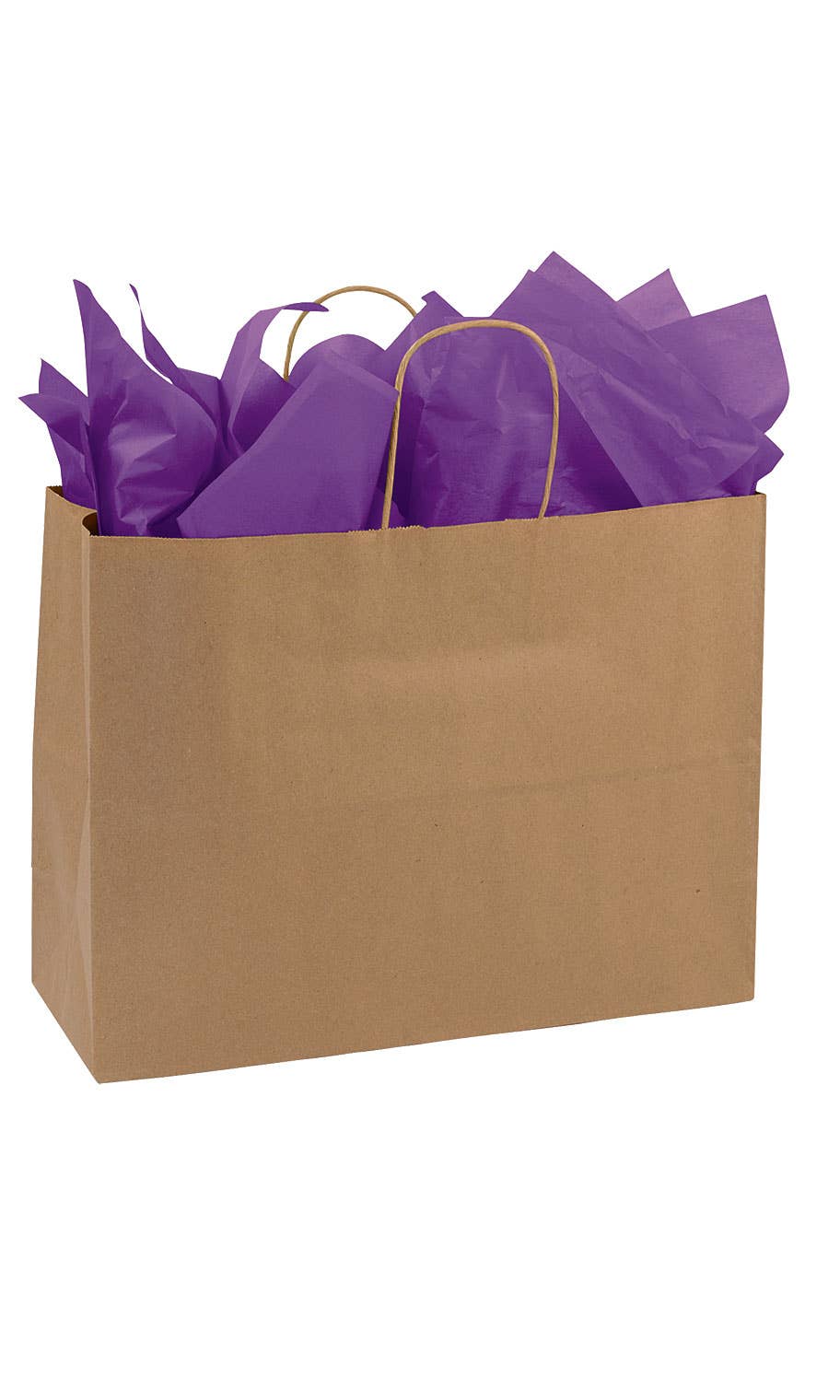 Kraft Paper Shopping Bags: Natural / Case of 250 / Medium