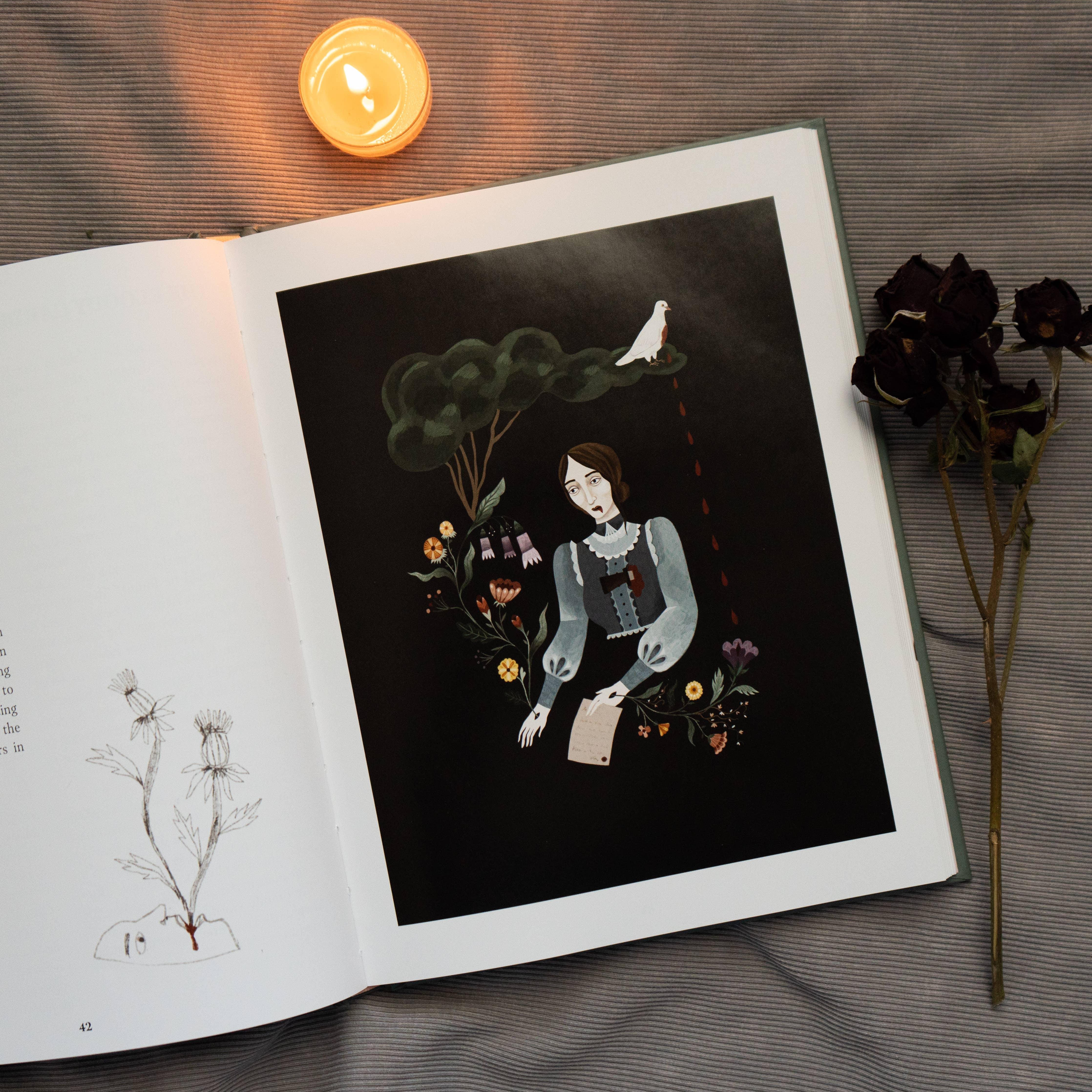 Murder Ballads by Katy  Horan: Hardcover; 144 pages / English