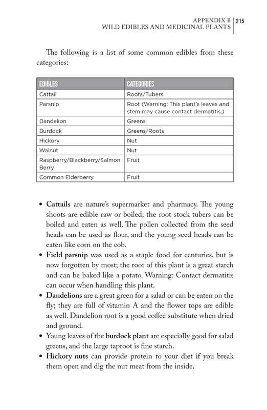 Bushcraft 101 by Dave Canterbury: Paperback; 256 pages / English
