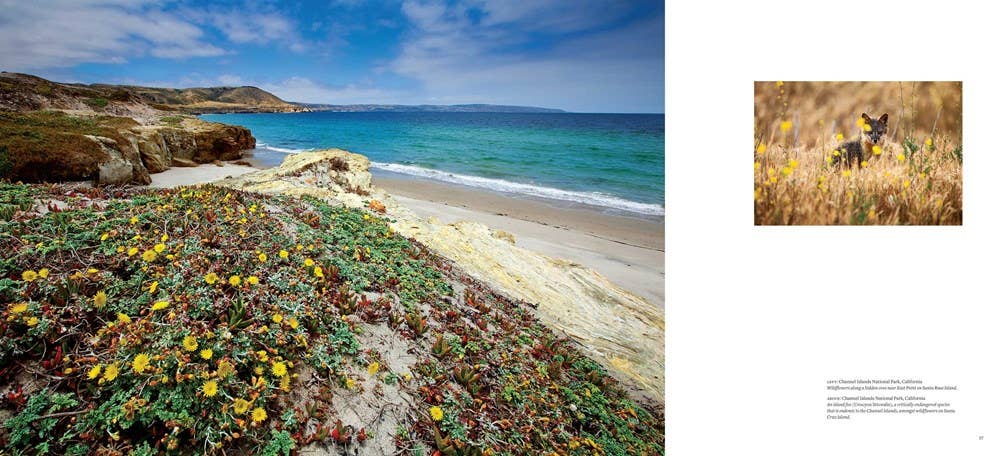 National Parks: An American Legacy