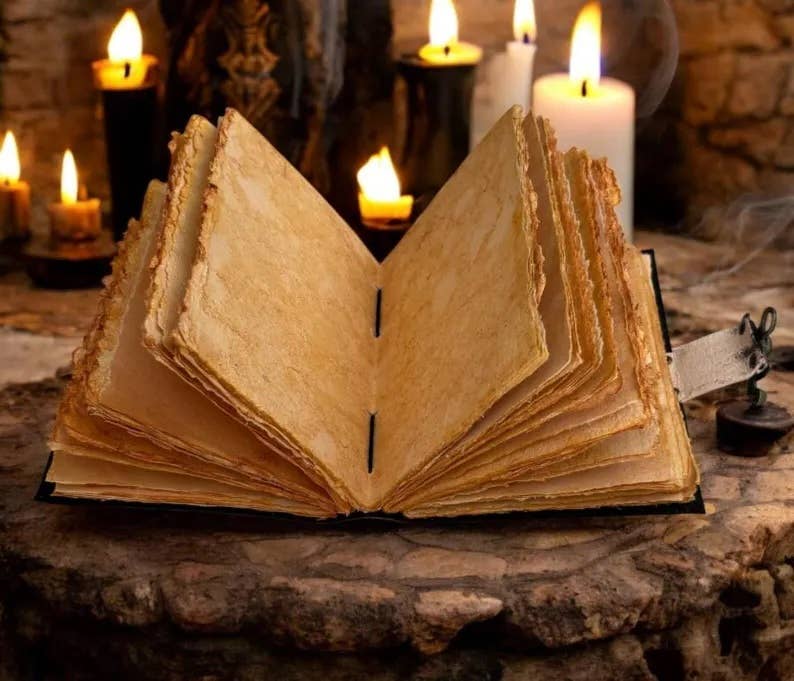 Luna moth mushroom journal