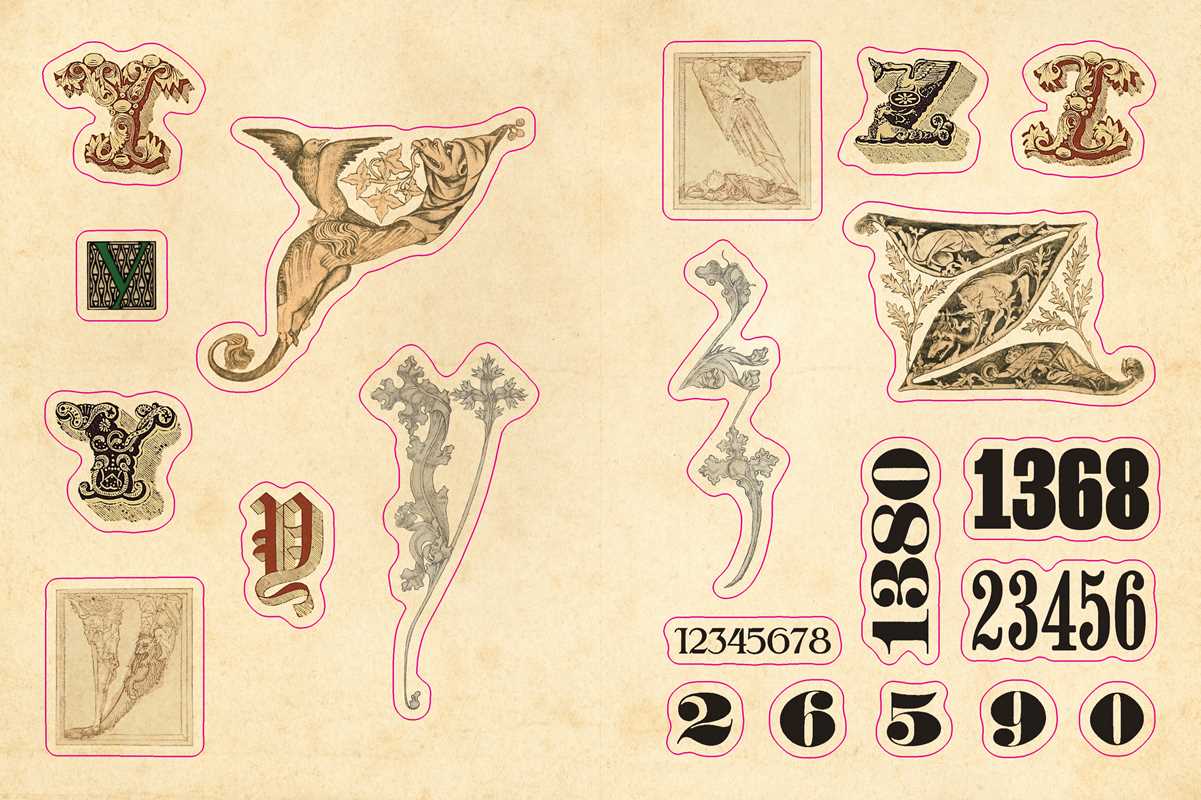 Cabinet of Curiosities by Smithsonian  Institution: Hardcover; 304 pages / English