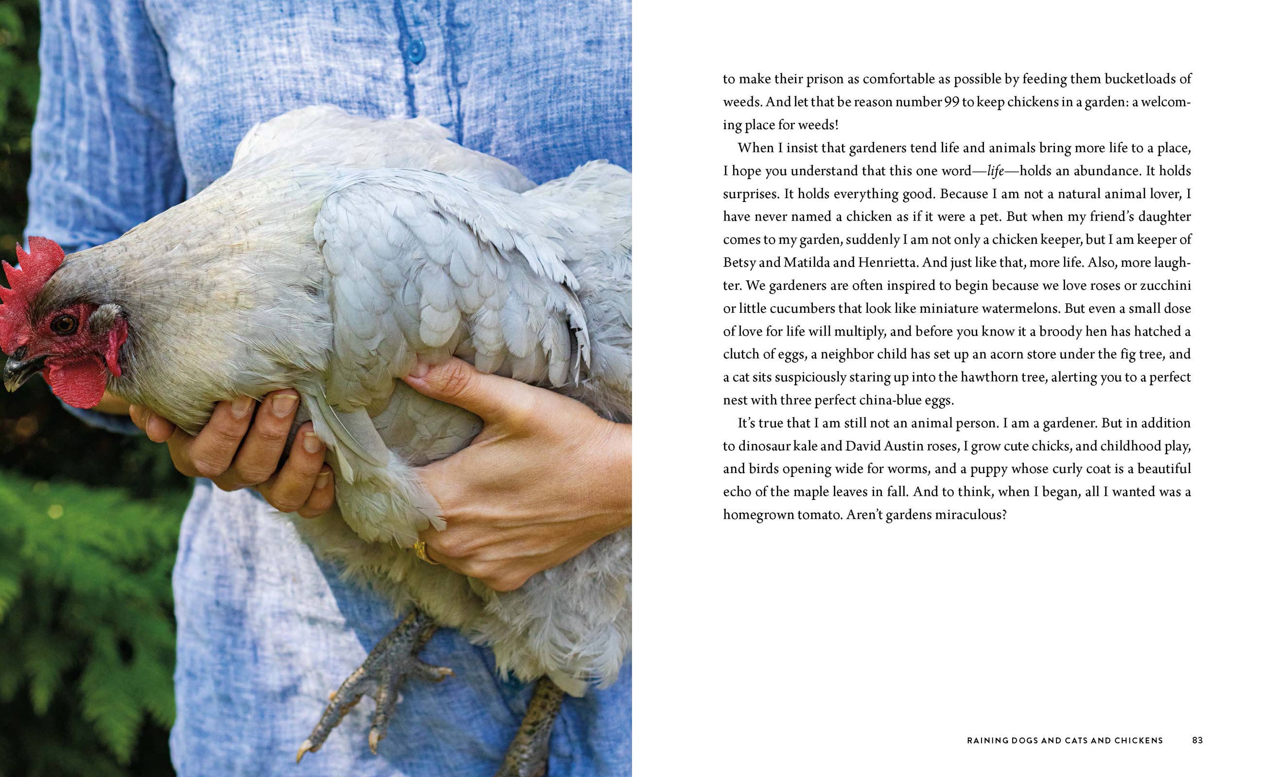Seedtime and Harvest: Hardcover / English