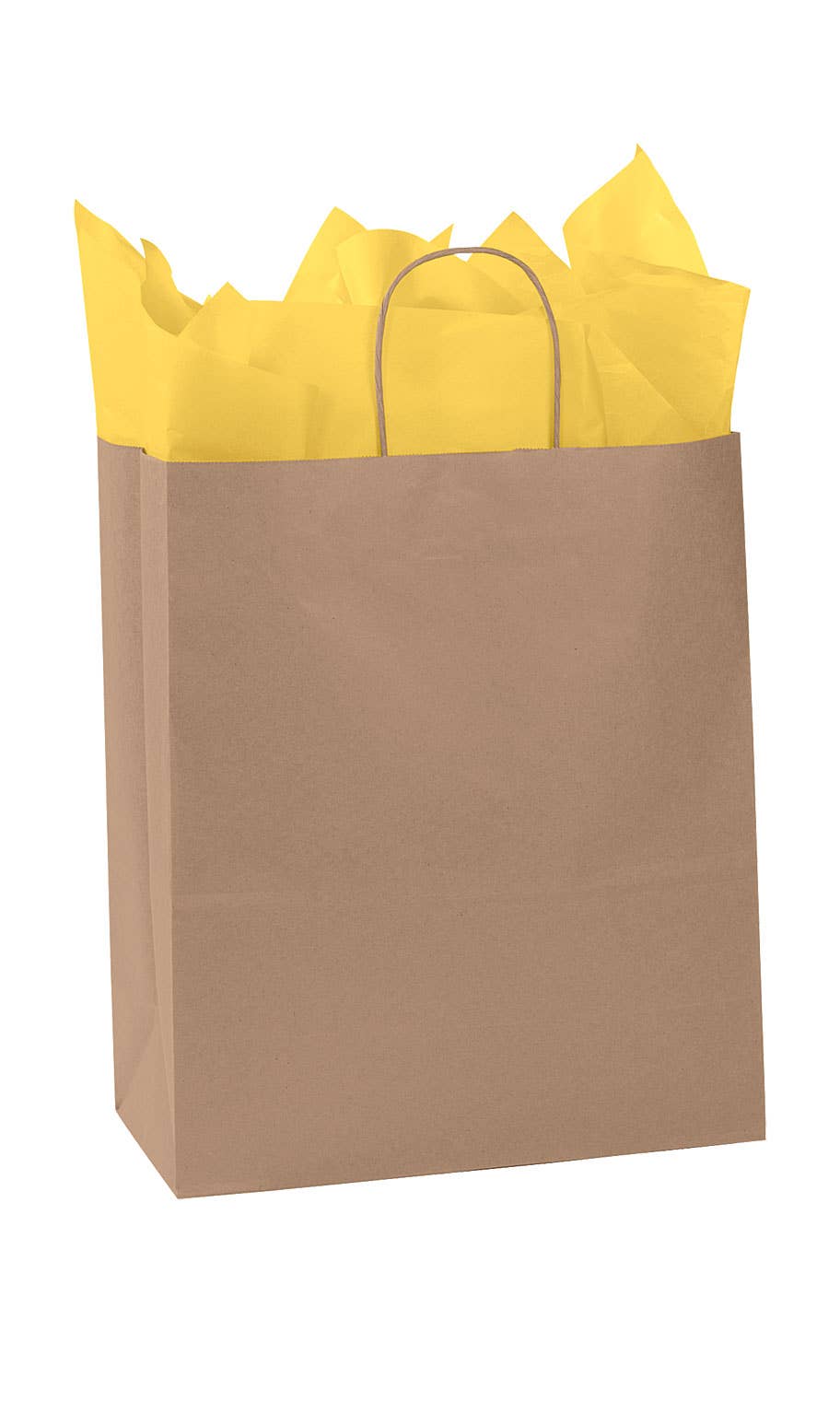Kraft Paper Shopping Bags: Natural / Case of 250 / Medium