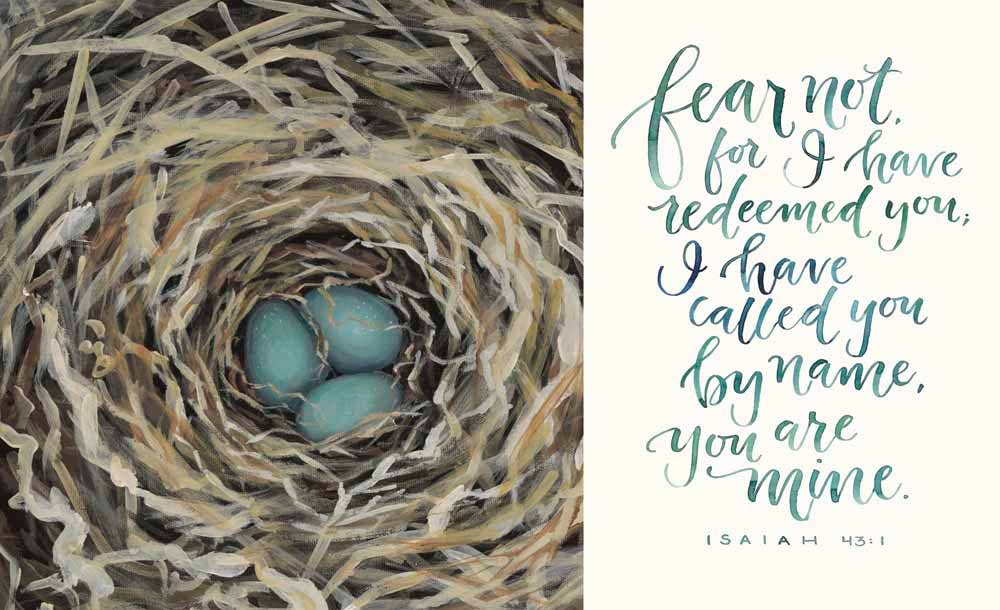 GraceLaced: Hardcover / English