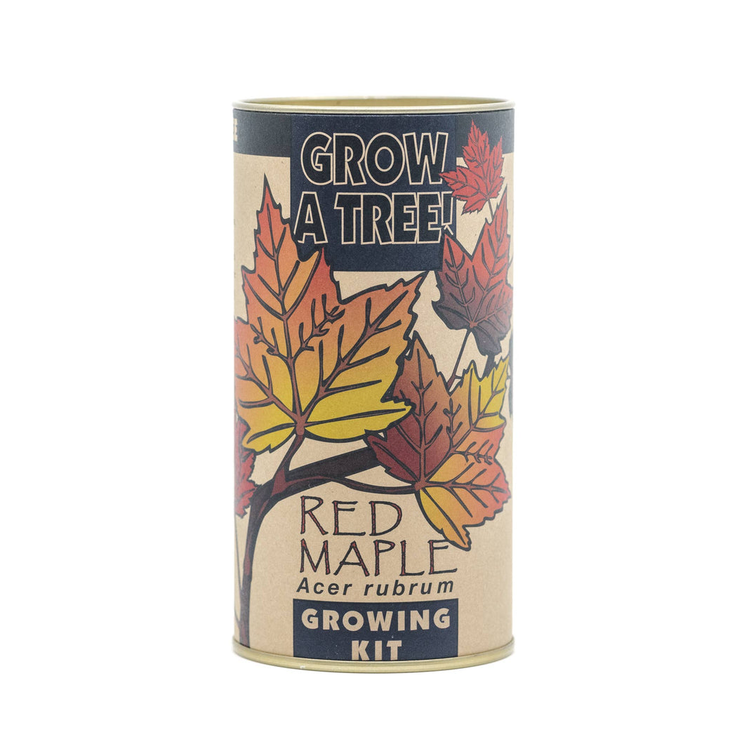 Red Maple | Seed Grow Kit